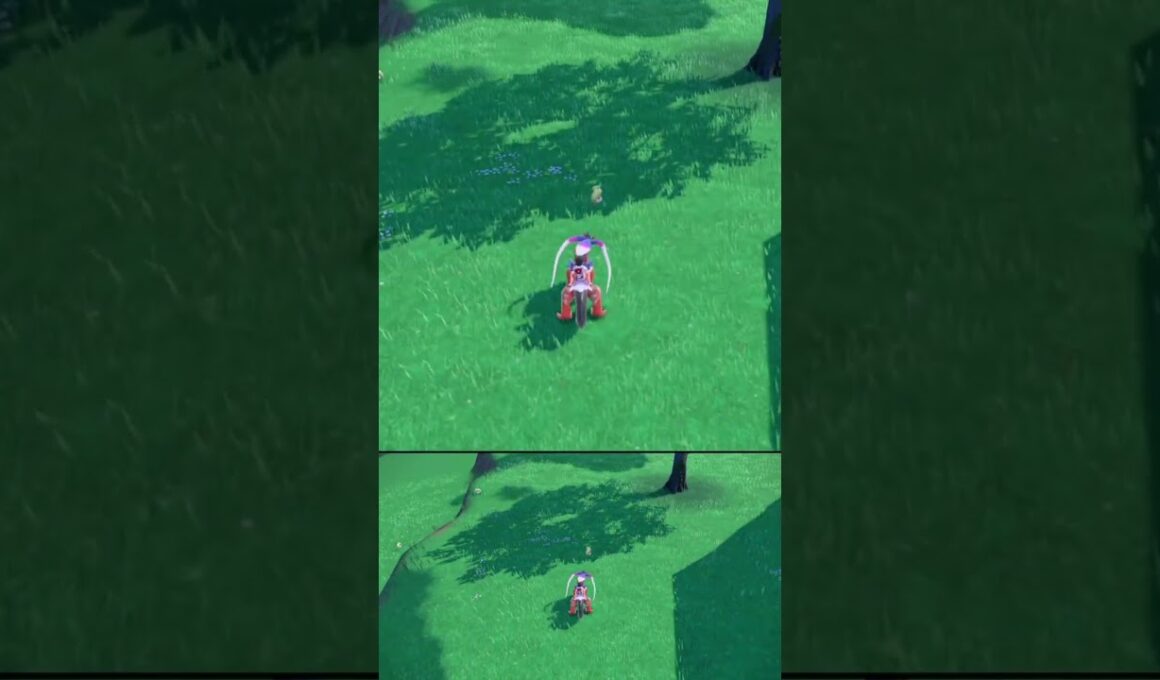 疑惑の判定で同胞を庇う アママイコ #shorts #ポケモンsv #碧の仮面 #碧の円盤