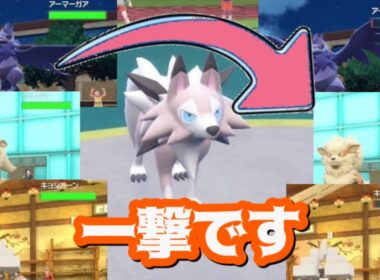 【ポケモンSV】誰でも起点に仕立て上げるルガルガンが万能すぎたｗｗｗｗｗ