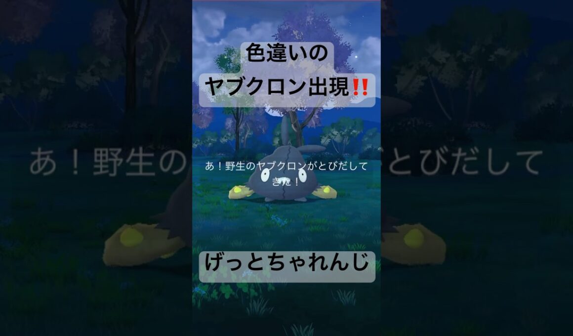 野生の色違いポケモンを探して捕獲する動画# #ポケモンgo #pokemongo #ヤブクロン