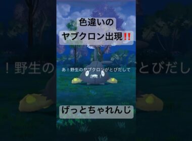 野生の色違いポケモンを探して捕獲する動画# #ポケモンgo #pokemongo #ヤブクロン