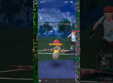 #これぞフワライドのジャングルカップ！