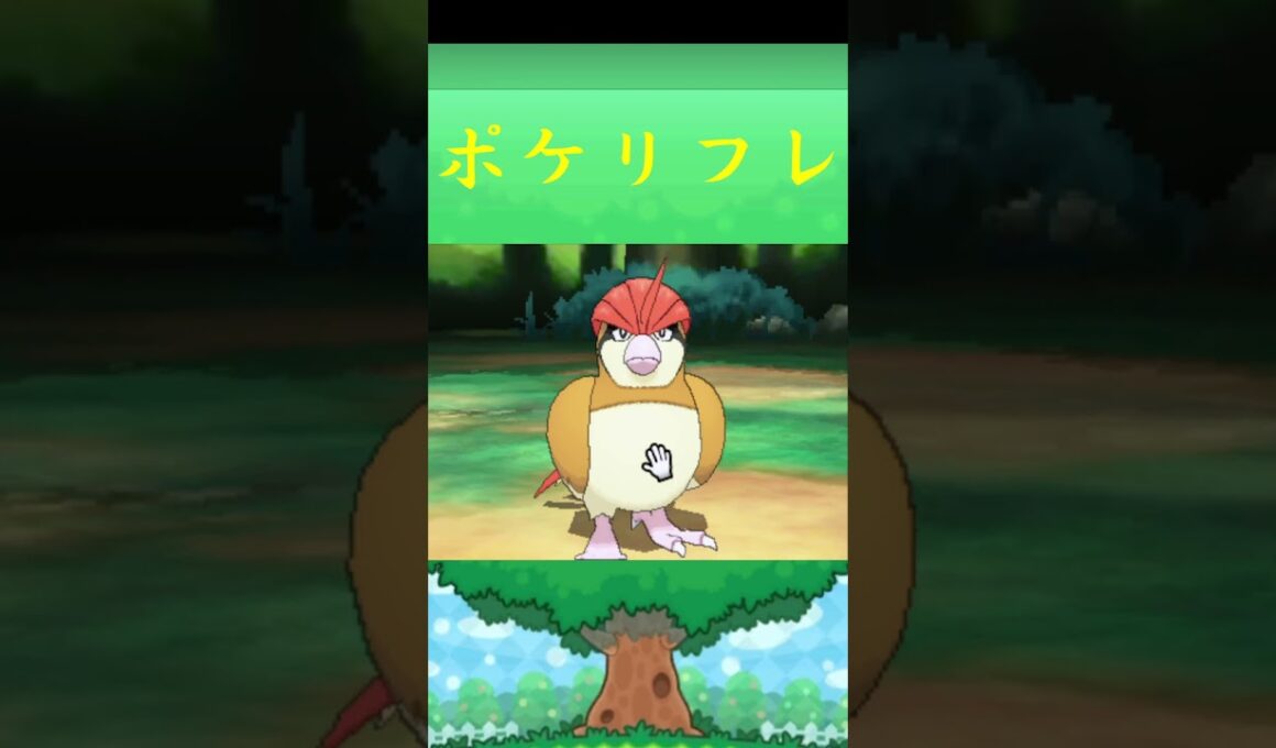 ピジョン*ポケモン ポケリフレ ポケパルレ #ポケモン #Pokemon  #3DS #nintendoswitch #ポケモンsv #ポケモン #キャンプ #サンドイッチ #ピクニック