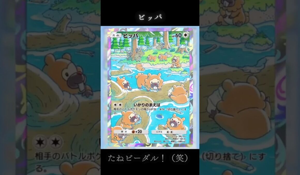 【ポケポケ】ビッパ 「いかりのまえば」