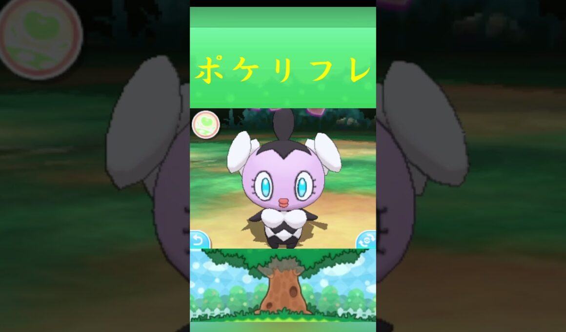 ポケモン ゴチム ポケリフレ ポケパルレ #ポケモン #Pokemon  #3DS #ポケモン技 #ポケモンsv #ポケモン#キャンプ #カレー #サンドイッチ #ピクニック