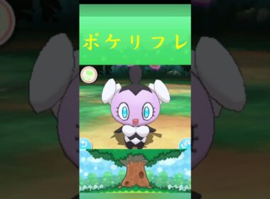 ポケモン ゴチム ポケリフレ ポケパルレ #ポケモン #Pokemon  #3DS #ポケモン技 #ポケモンsv #ポケモン#キャンプ #カレー #サンドイッチ #ピクニック