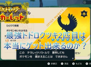 【ポケモンSV】最強トドロクツキ2匹目は本当にゲット出来るのか？【検証】