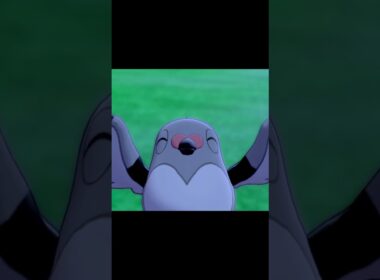 マメパトの笑顔　#Shorts