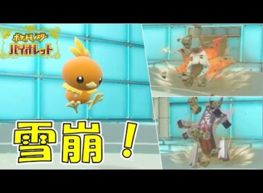 岩雪崩乱舞で高種族値ポケモンをなぎ倒すアチャモ【ポケモンSV/ゆっくり実況】