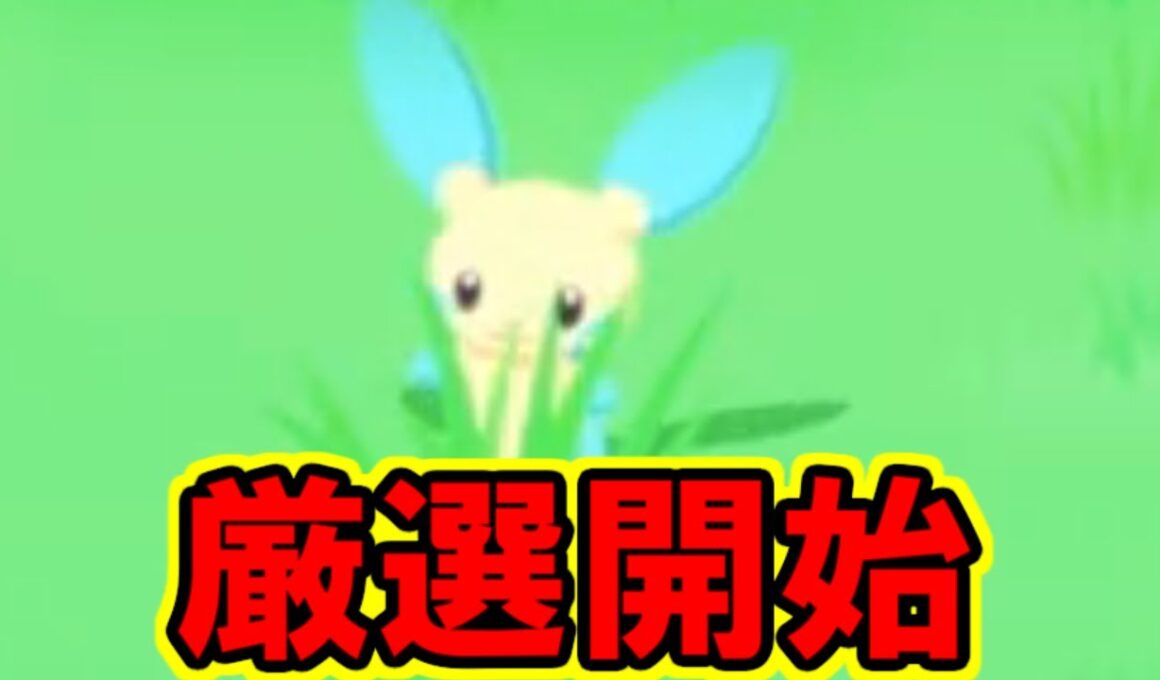 最強マイナンを求めて。【ポケモンスリープ】