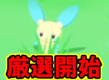 最強マイナンを求めて。【ポケモンスリープ】