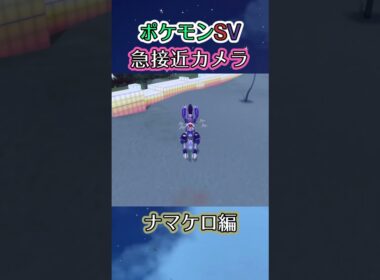 【ポケモンSV】砂浜で寝そべっているナマケロたちの中心に飛び込むだけの動画 #ポケモン #ポケモンsv #ナマケロ #shorts
