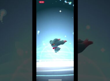 毎日コツコツにしこのポケGO!! 2025/10/07 日曜日に交換でGetしたキラポケモンで進化リレーパート２!! 進化時XP2倍＆しあわせたまご!! #ポケモンgo