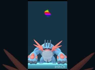 vs メガラグラージ 【 ポケモンgo 】 あのつぶらな瞳のミズゴロウがこんなになっちゃって…www頼もしすぎるラグラージ！#ポケモンgo #ポケモン #pokemon #pokemongo