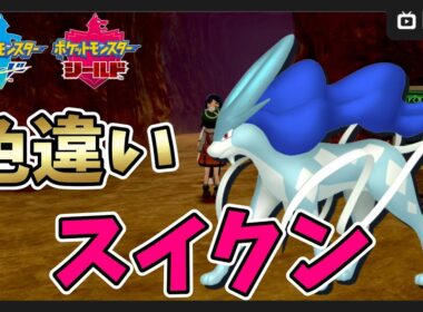 【ポケモン剣盾】40～色違いスイクン厳選【ポケットモンスター ソード・シールド】
