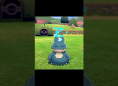 うとうとするゴンベ　#Shorts