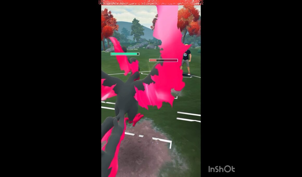 ガラルファイヤーや！(◎_◎;)