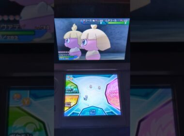 色違いムチュール#仲間呼び連鎖