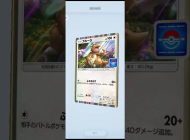 ポケポケ　プロモガルーラ
