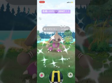 ポケモンGO色違いカポエラー初GET！！#ポケモン #ポケモンgo #pokemongo