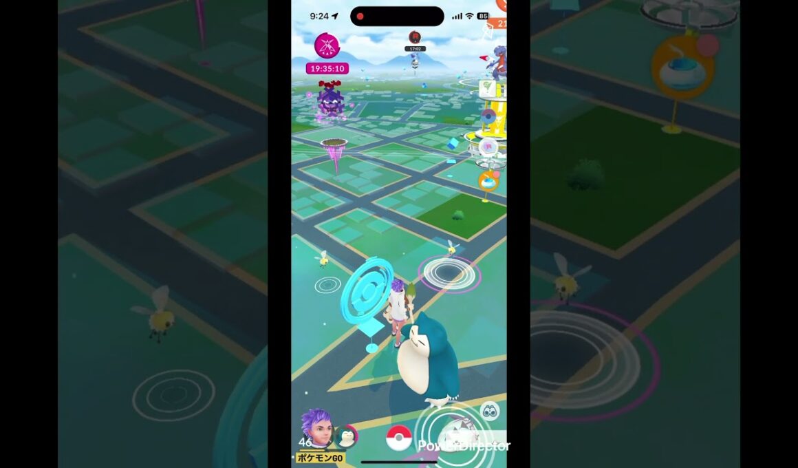 大きいアブリー #pokemongo #pokemon #ポケgo #pokémon #ポケモン #ポケモンgo