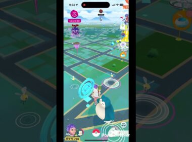 大きいアブリー #pokemongo #pokemon #ポケgo #pokémon #ポケモン #ポケモンgo