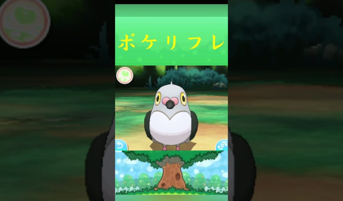 マメパト*ポケモン ポケリフレ ポケパルレ #ポケモン #Pokemon  #3DS #nintendoswitch #ポケモンsv #ポケモン #キャンプ #カレー #サンドイッチ #ピクニック