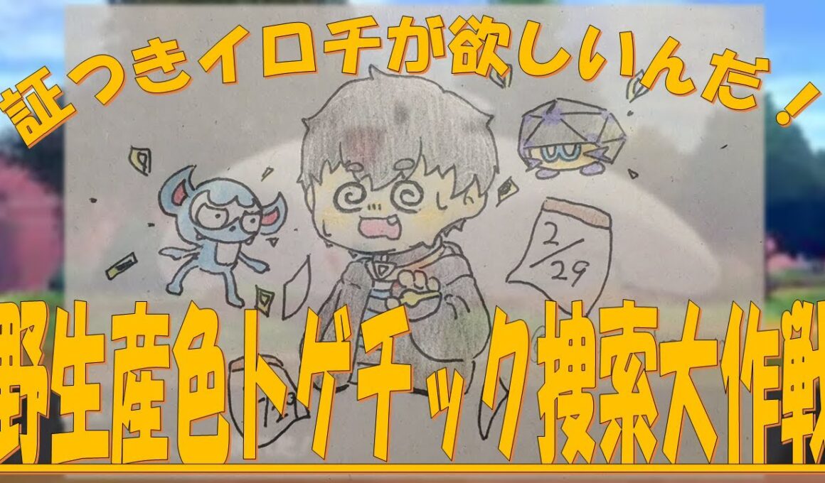 【ポケモン剣盾】正真正銘のラストバトル‼トゲチック999体倒すまで終われま999～お前が色違え‼～PART14【来たれ色廃】