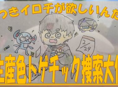 【ポケモン剣盾】正真正銘のラストバトル‼トゲチック999体倒すまで終われま999～お前が色違え‼～PART14【来たれ色廃】