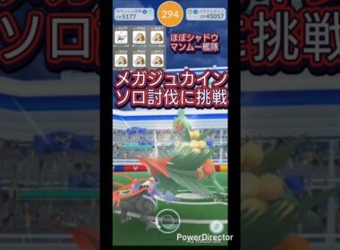 メガジュカインのソロ討伐に挑戦！#ポケモンgo #メガジュカイン #ソロ討伐 #shorts