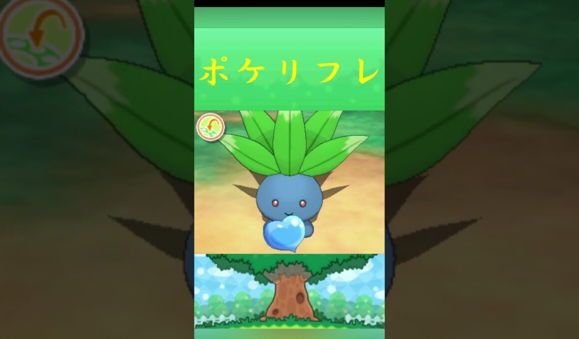 ポケモン ナゾノクサ  ポケリフレ ポケパルレ #ポケモン #Pokemon  #3DS #ポケモン技 #ポケモンsv #ポケモン#キャンプ #カレー #サンドイッチ #ピクニック