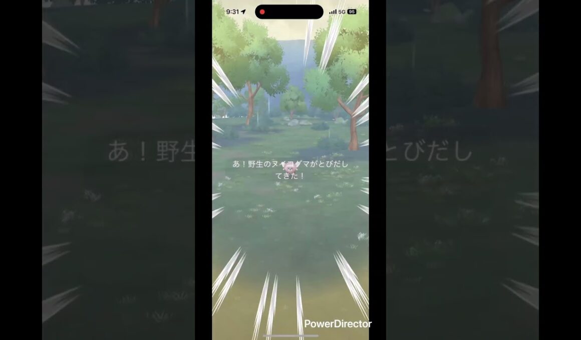 小さいヌイコグマ #pokemongo #pokemon #ポケgo #pokémon