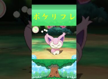 エネコ*ポケモン ポケリフレ ポケパルレ #ポケモン #Pokemon  #3DS #nintendoswitch #ポケモンsv #ポケモン #キャンプ #サンドイッチ #ピクニック
