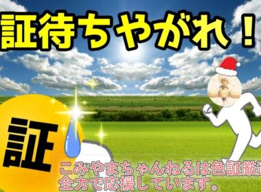 感情証♀フォッコを求めて…その７