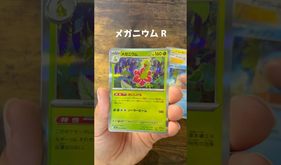 【ポケカ】264・265パック目　メガシンフォニア　#ポケモンカード #ポケカ #メガニウム