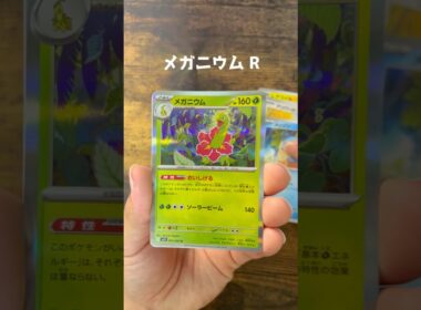 【ポケカ】264・265パック目　メガシンフォニア　#ポケモンカード #ポケカ #メガニウム