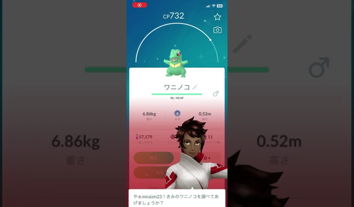 【Pokémon GO】ワニノコ コミュニティデイで、色違いワニノコ♂2体目GETした‼︎この個体値は？ #pokemongo #shiny  #shorts  #shinypokemon