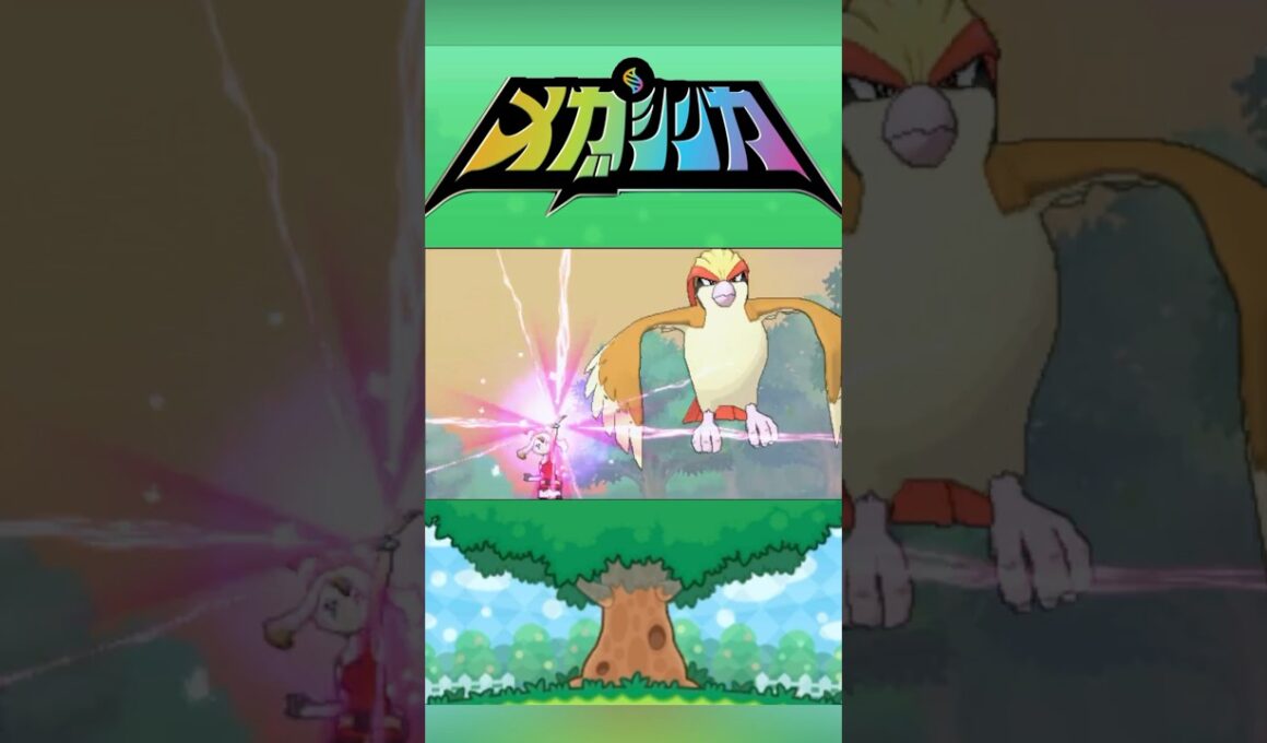 メガピジョット #メガシンカ #ポケモンxy #ポケモンoras #ポケモン #Pokemon #nintendoswitch2 #ポケモンsv #ポケモンza #pokemonlegendsza