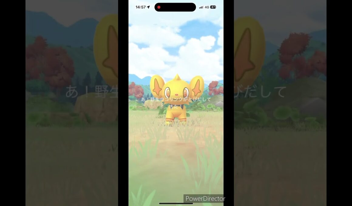 金コリンク #ポケモンgo #pokemon #ポケgo #ポケモン