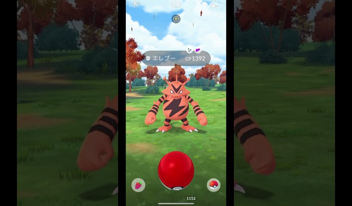 ポケモンGO　エレブー色違い