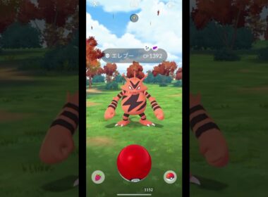 ポケモンGO　エレブー色違い