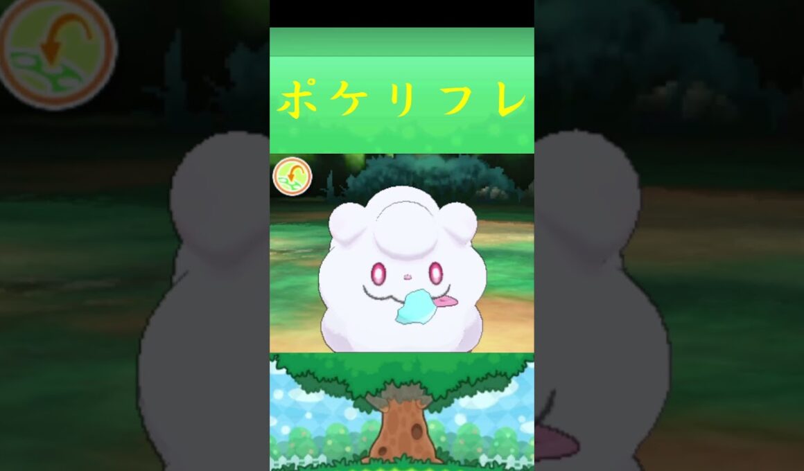 ペロッパフ*ポケモン ポケリフレ ポケパルレ #ポケモン #Pokemon  #3DS #nintendoswitch #ポケモンsv #ポケモン #キャンプ #サンドイッチ #ピクニック