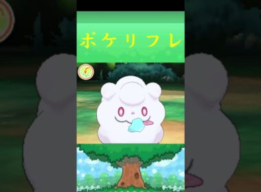 ペロッパフ*ポケモン ポケリフレ ポケパルレ #ポケモン #Pokemon  #3DS #nintendoswitch #ポケモンsv #ポケモン #キャンプ #サンドイッチ #ピクニック