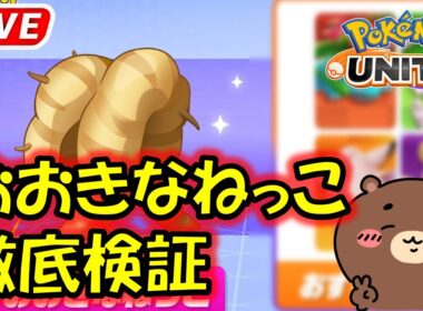 ねっこ＆ニンフィア検証【ポケモンユナイト】