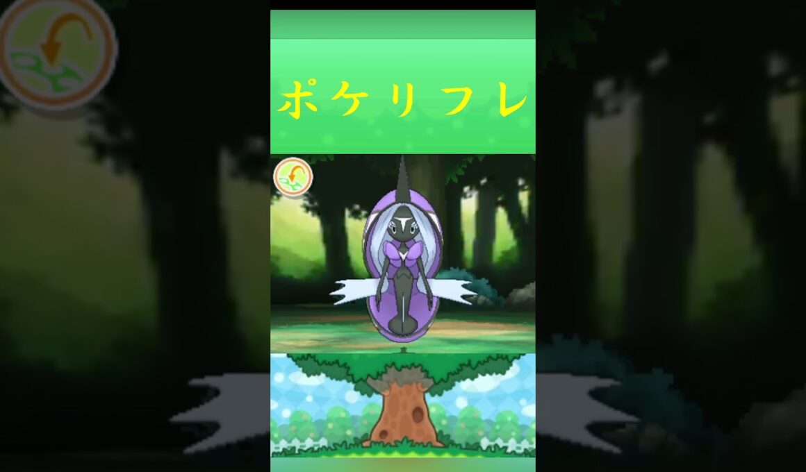 ポケモン カプ・レヒレ ポケリフレ ポケパルレ #ポケモン #Pokemon  #3DS #ポケモン技 #ポケモンsv #ポケモン#キャンプ #カレー #サンドイッチ #ピクニック