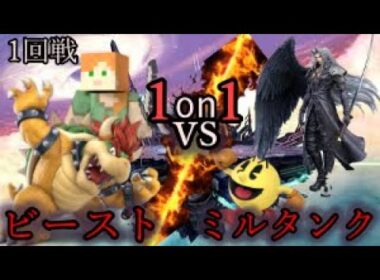 【スマブラSP】第５回ペレスマ杯　一回戦　ミルタンクvsビースト