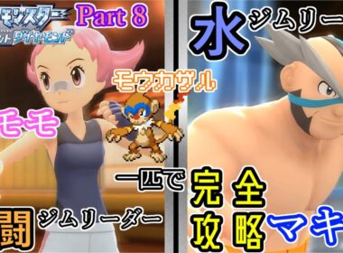 ジム戦２連続！？　ブリダイを『ヒコザル』一匹で攻略するようです　Part 8　【ポケモンダイパリメイク】「縛りプレイ」