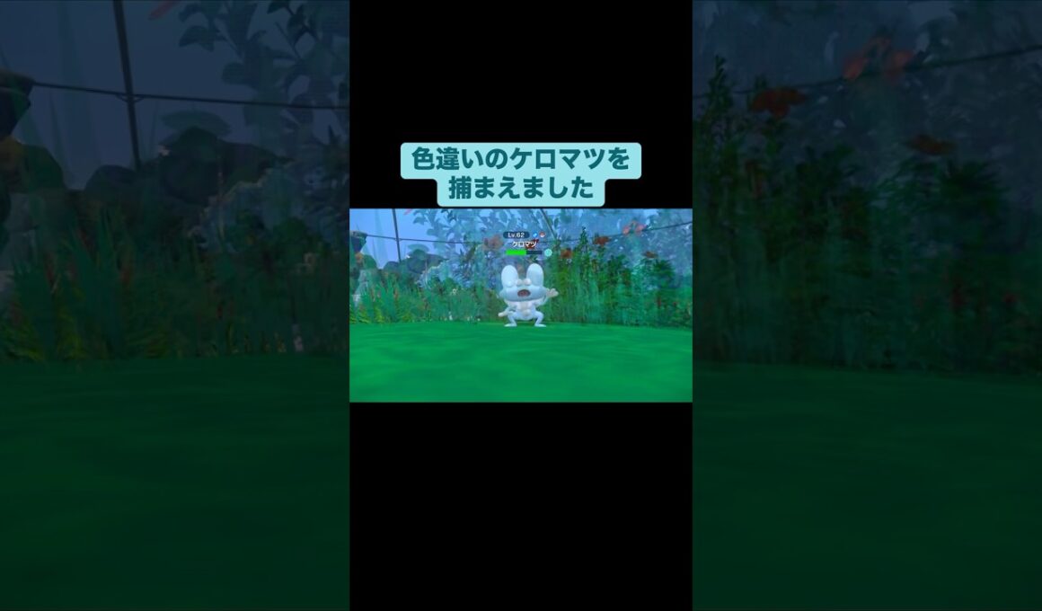 色違いのケロマツをゲットしました