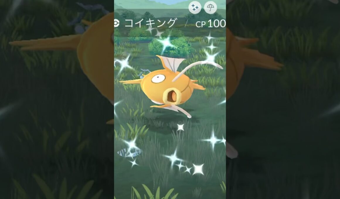 色違いコイキング♫ #ポケモンgo #ポケモン #コイキング