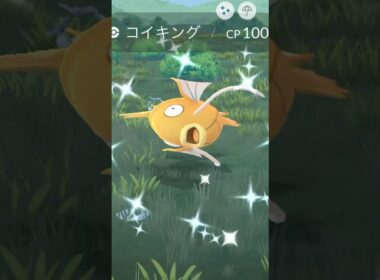 色違いコイキング♫ #ポケモンgo #ポケモン #コイキング