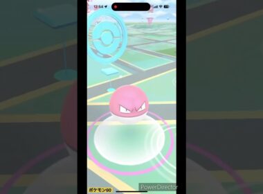 大きいビリリダマ #ポケモンgo #pokemon #ポケgo #ポケモン